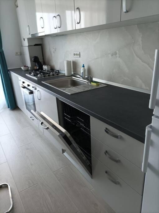 Rebreanu Residence Lux Apartmen Timisoara Exterior foto